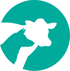Animals Icon