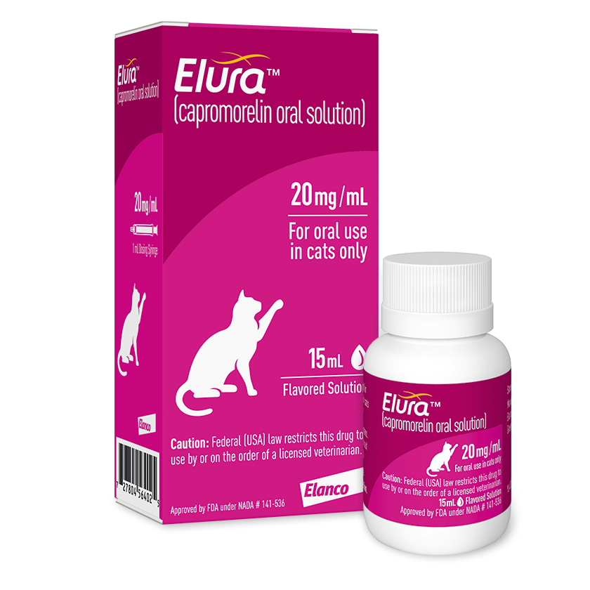 Elura® (capromorelin oral solution) for cats with CKD