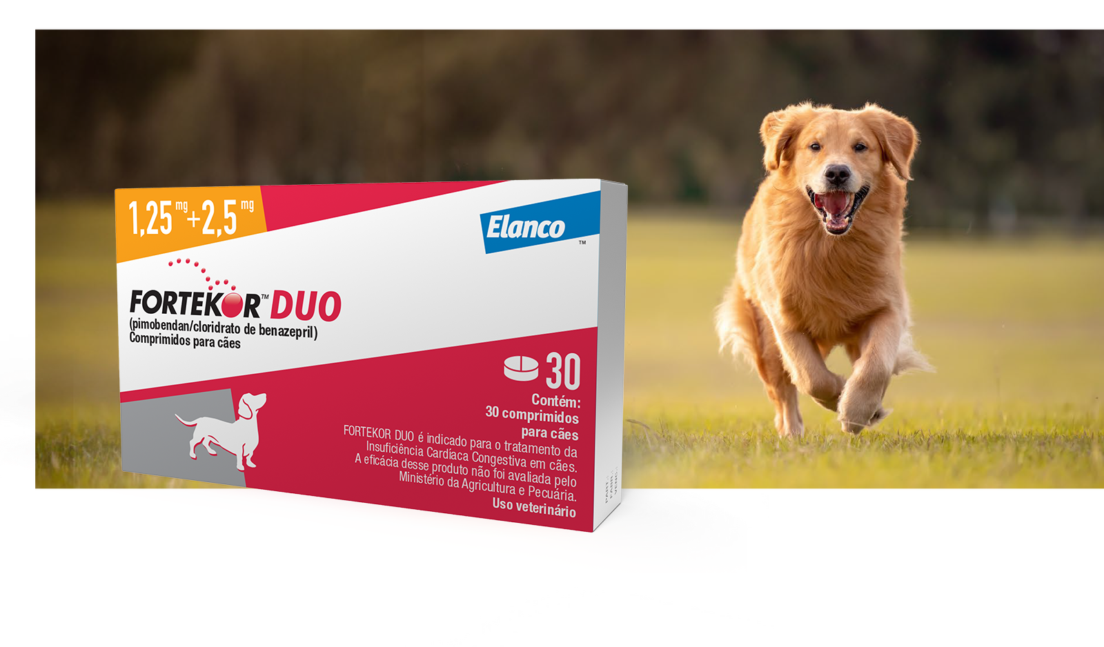 Banner fortekor duo cachorro