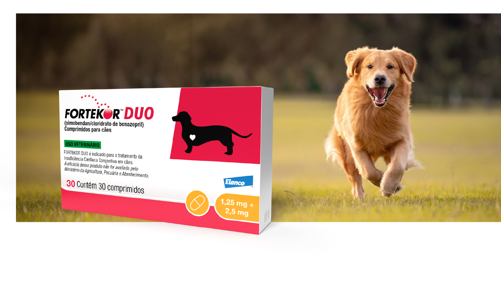 Banner fortekor duo cachorro