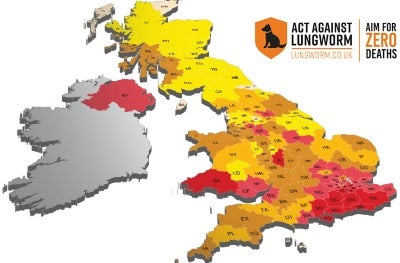 Act against lungworm by reporting cases of lungworm to our map