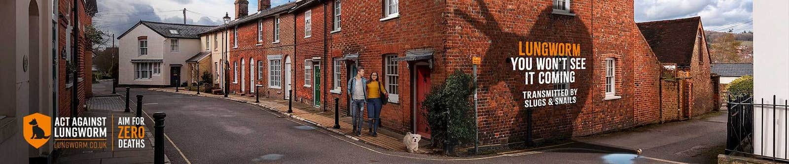 Act against lungworm in dogs street banner