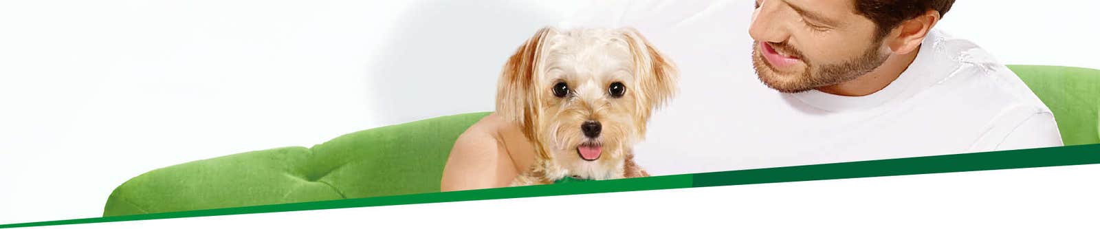 Credelio Tablets for Flea and Tick Control in dogs