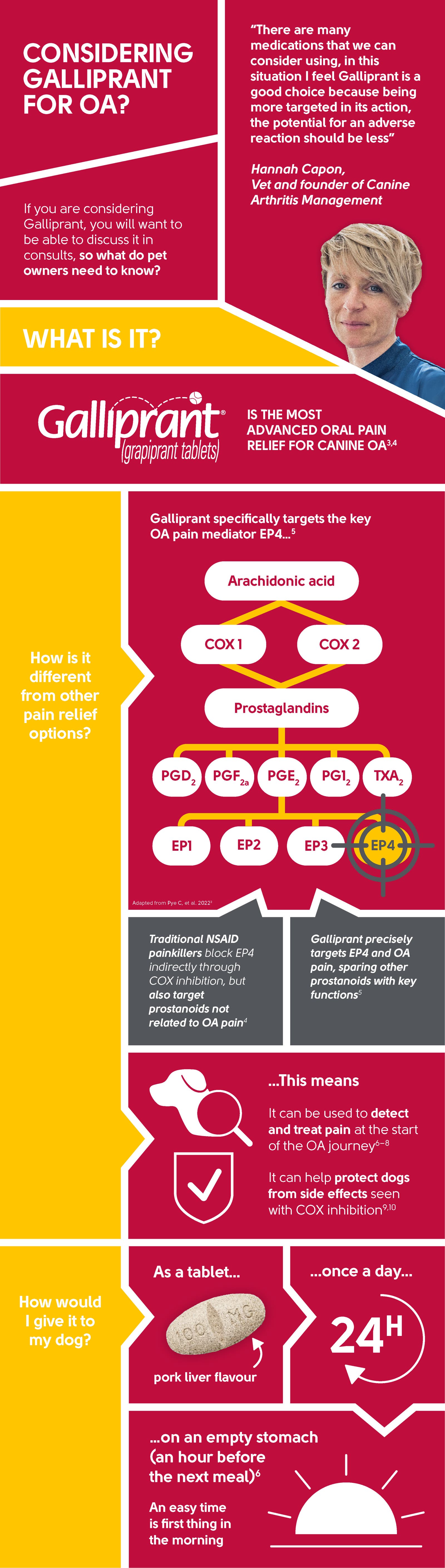 Explain pain explain Galliprant infographic 1 
