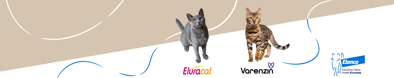 Varenzin and Eluracat banner with a bengal cat and a grey cat