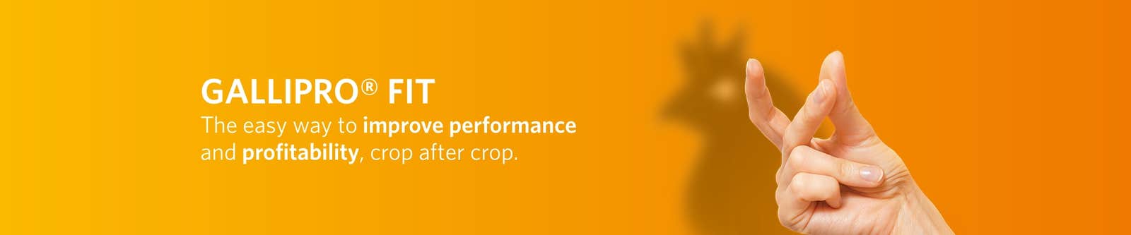 Gallipro Fit for gut health in poultry