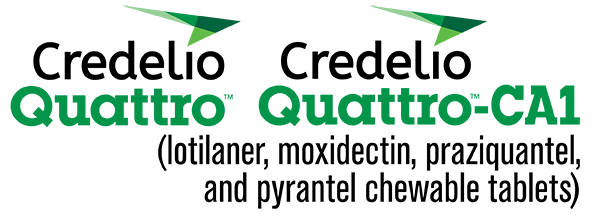 Logos for Credelio Quattro and Credelio Quattro-CA1 (lotilaner, moxidectin, praziquantel, and pyrantel chewable tablets). Features green and black text with green geometric arrow icons on a white background.