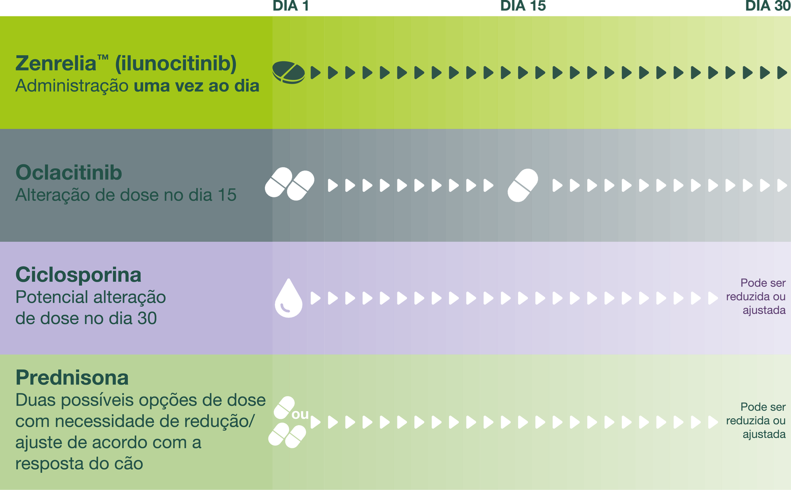 Dose única diária desde o início. Sem necessidade de dose de ataque, nem redução gradual.