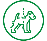 Dermatite Atópica (DA)