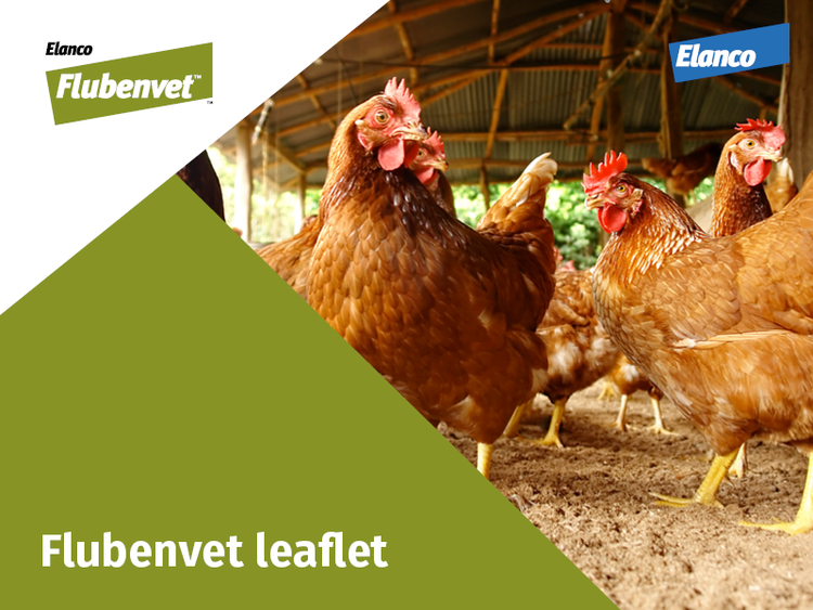 Flubenvet thumbnail