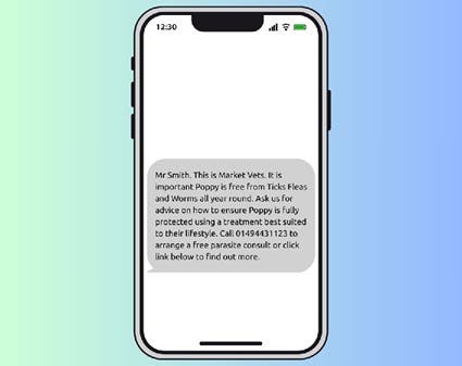 SMS text example client messaging