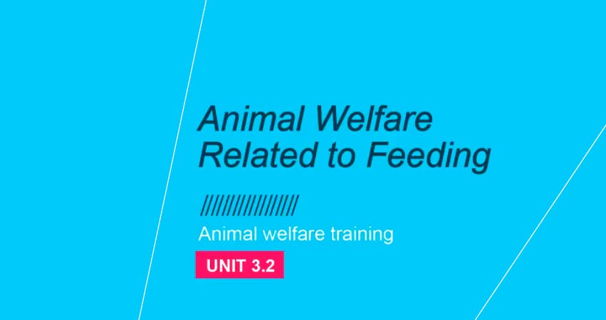 Bem-estar animal e Alimentação: Unidade 3.2 