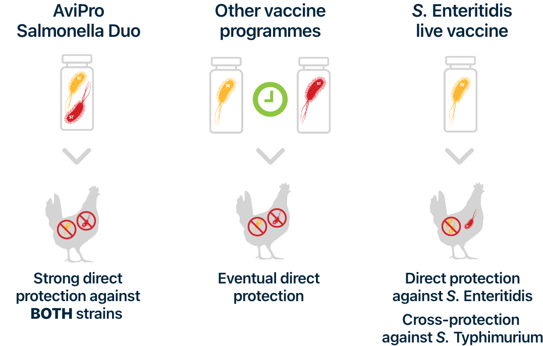 AviPro Salmonella Duo differentiation image