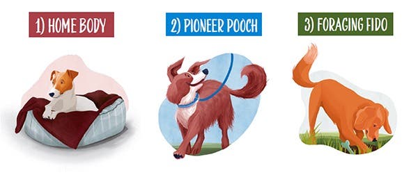 MyPet Persona