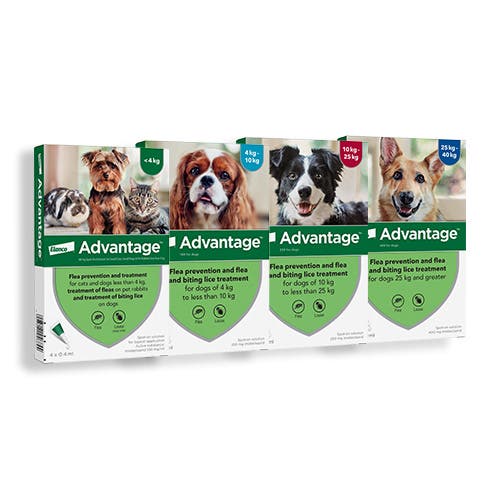 Advantage for dogs joint pack shot