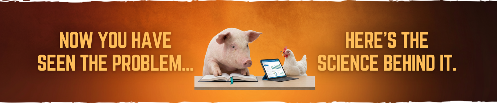 Pig and a chicken studying