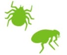 Credelio kills ticks and fleas