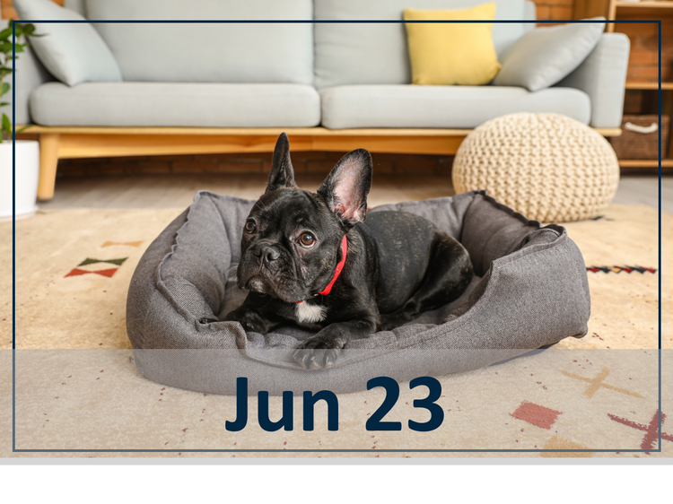 Echinococcus: Tiny Tapeworms, Growing Threat? June 23 header image
