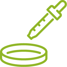Vaccine strains