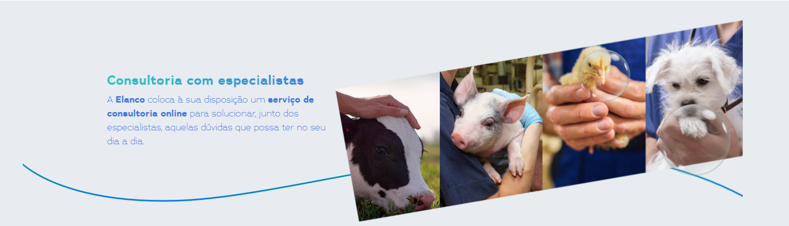 Banner Consultorias com especialistas