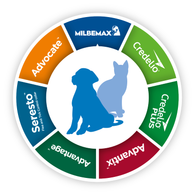 Elanco parasite portfolio wheel