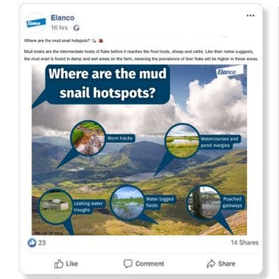 Elanco liver fluke social post