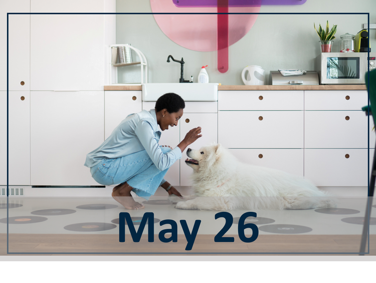 May 26 webinar header image