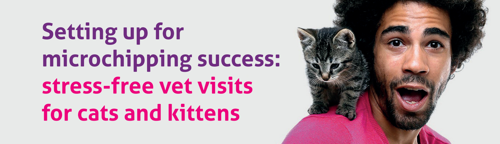 Setting up for stress free cat treatments