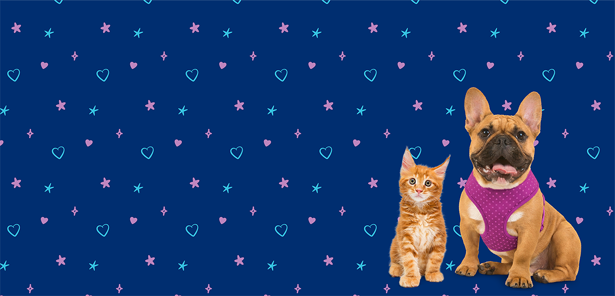 Elanco pet health banner featuring an orange kitten and a French Bulldog in a pink harness. The background is dark blue with a playful pattern of light blue and pink hearts and stars.
