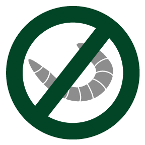 Larves de puces icone