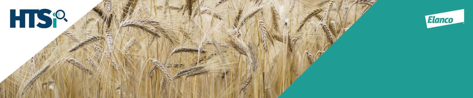 HTSi crop banner