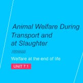 Animal Welfare During Transport and at Slaughter Unit 7.1