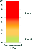 Owner assessed PVAS score for Coda