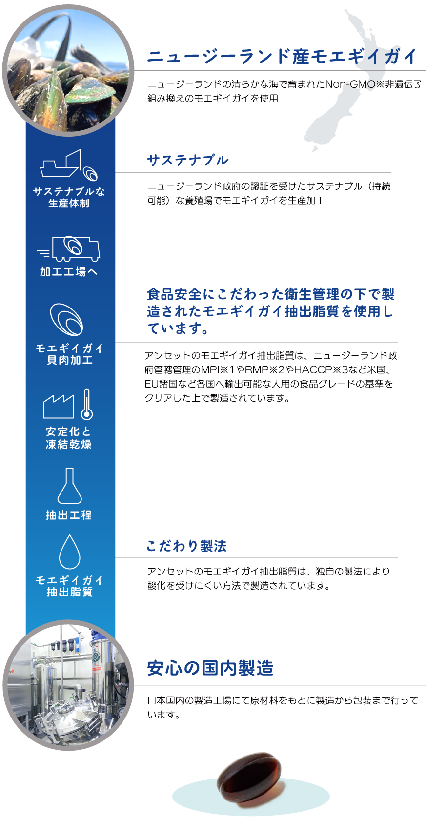 Elanco Japan ANSETのできるまで