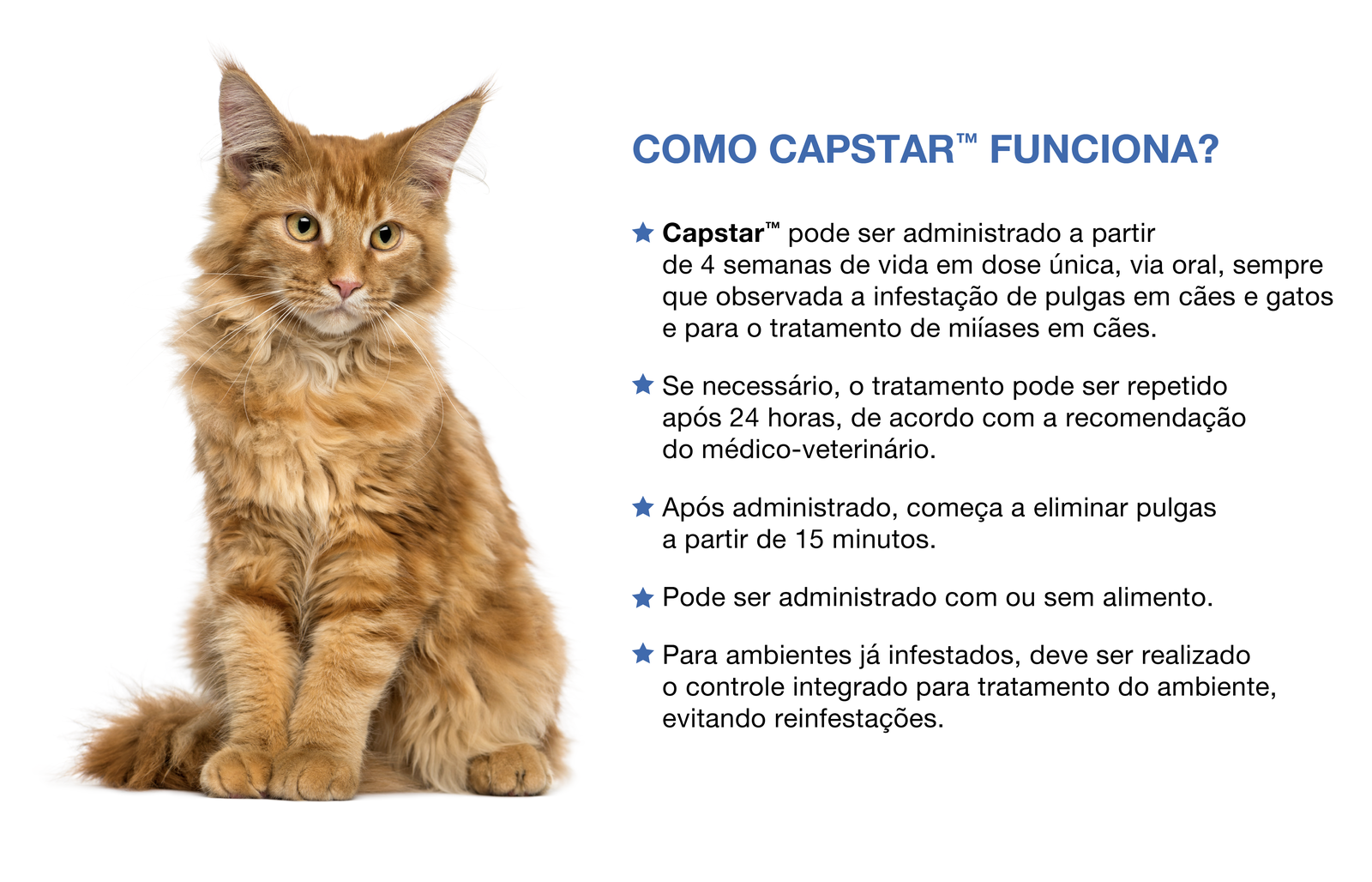 Como Capstar funciona