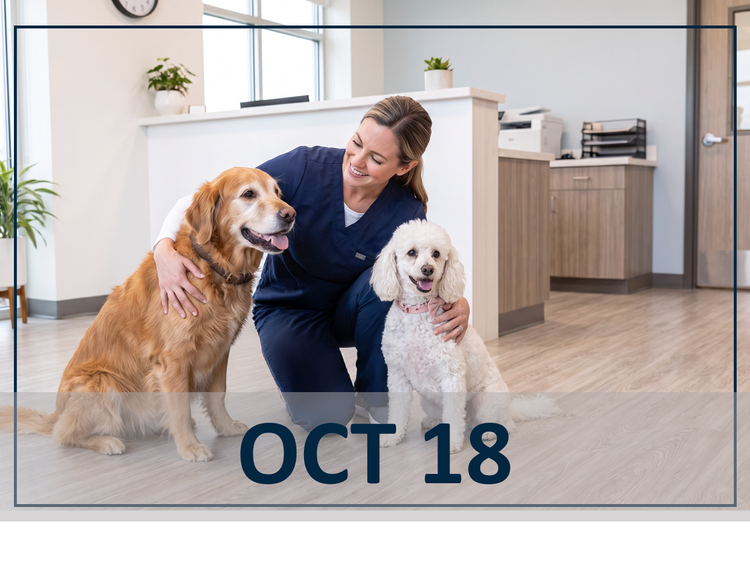 Oct 18 webinar header
