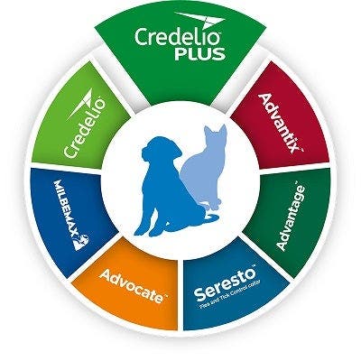 Portfolio Wheel 2022 Credelio Plus pop up