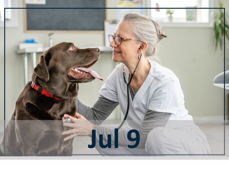 July 9 webinar header image