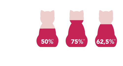 gatos tratados Varenzin