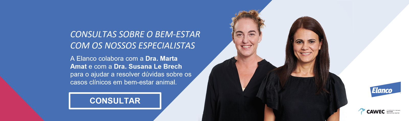 Banner Bem-estar animal Consultorias