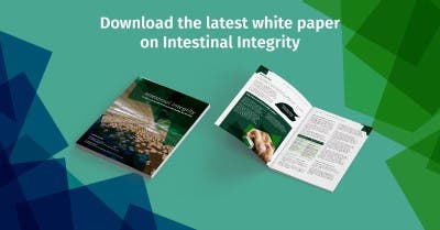Intestinal integrity white paper