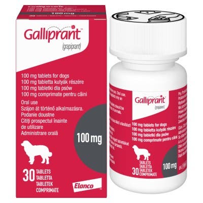 Galliprant 100 mg tablets precision pain relief for dogs.