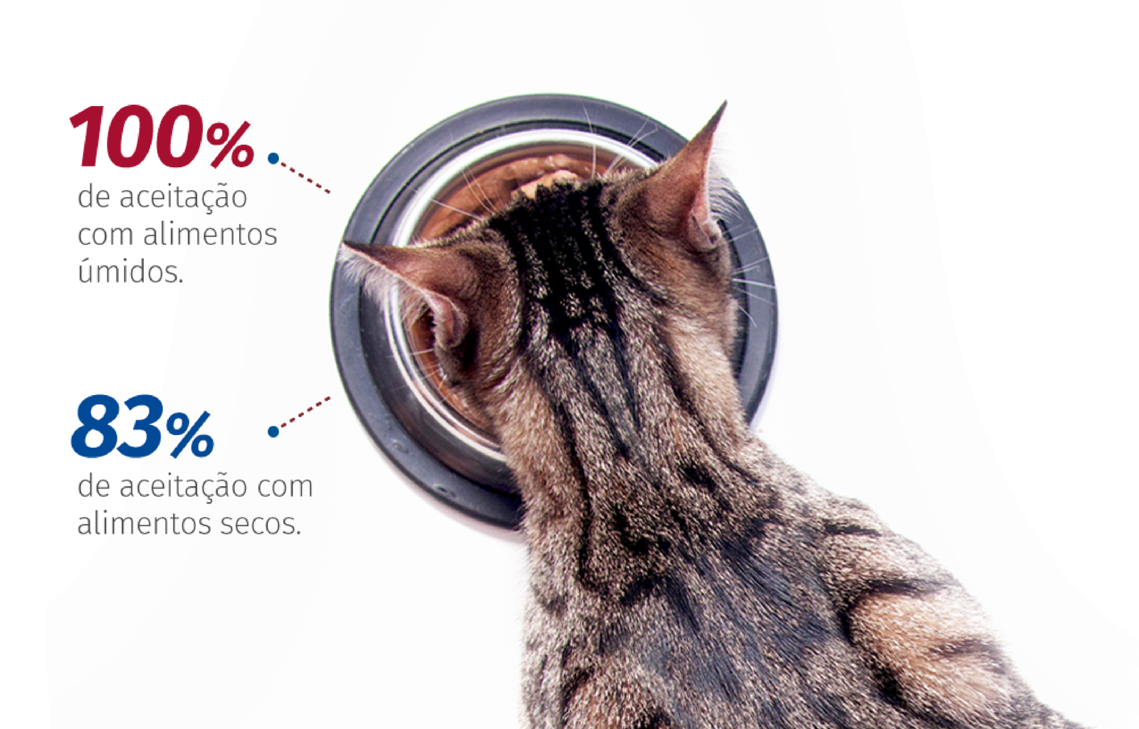 Aceitação Milbemax