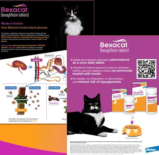 Bexacat™ (bexagliflozin tablets)