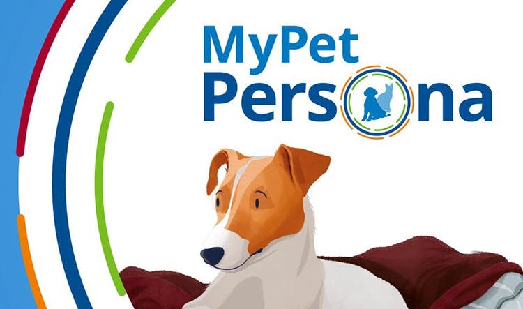 MyPet Persona Thumbnail