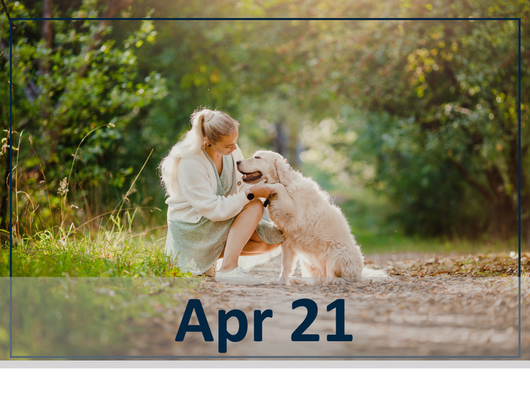 April 21 fear free webinar header image