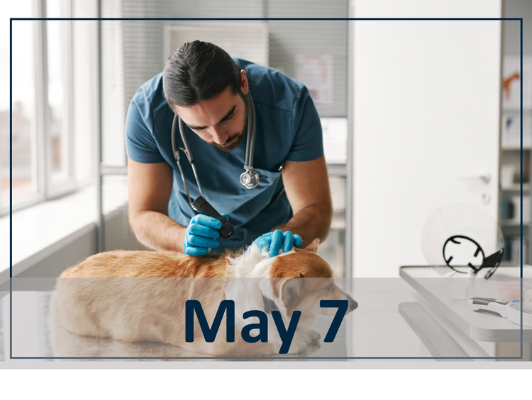 May 7 webinar header image.