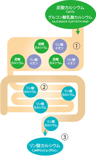 カリナール®1 作用機序