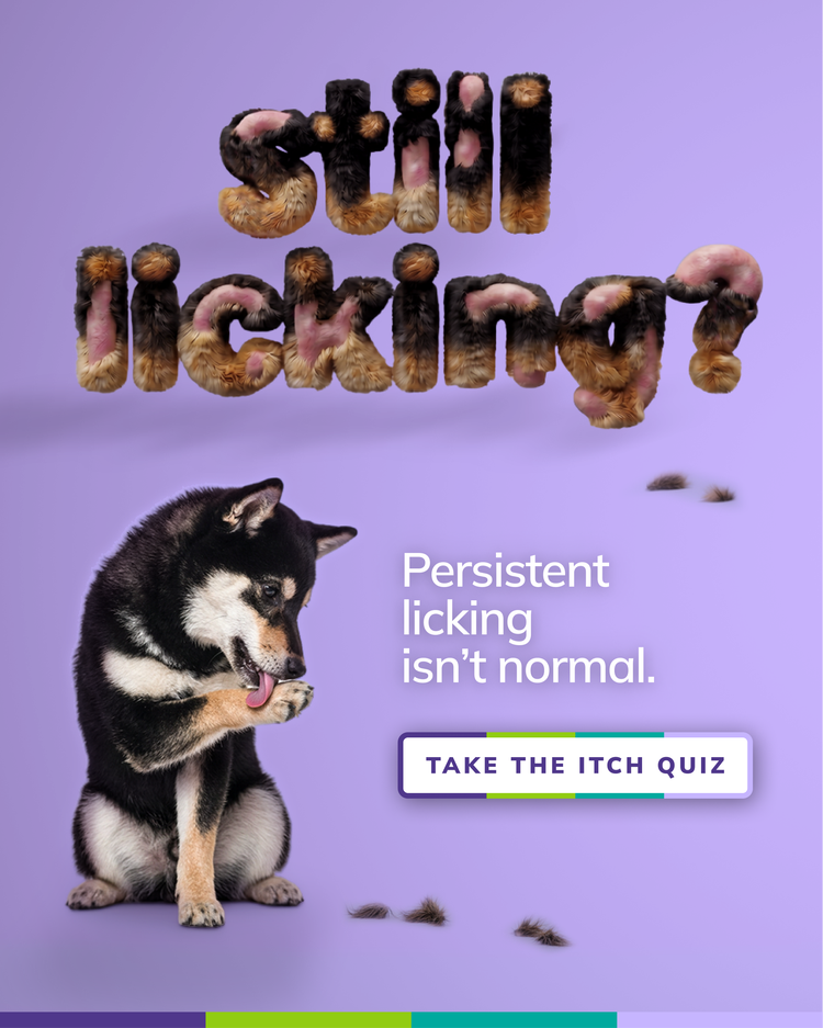 Still licking social media post with an itchy dog 