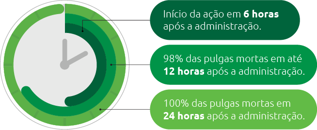 Credeli Gatos tempo de ação